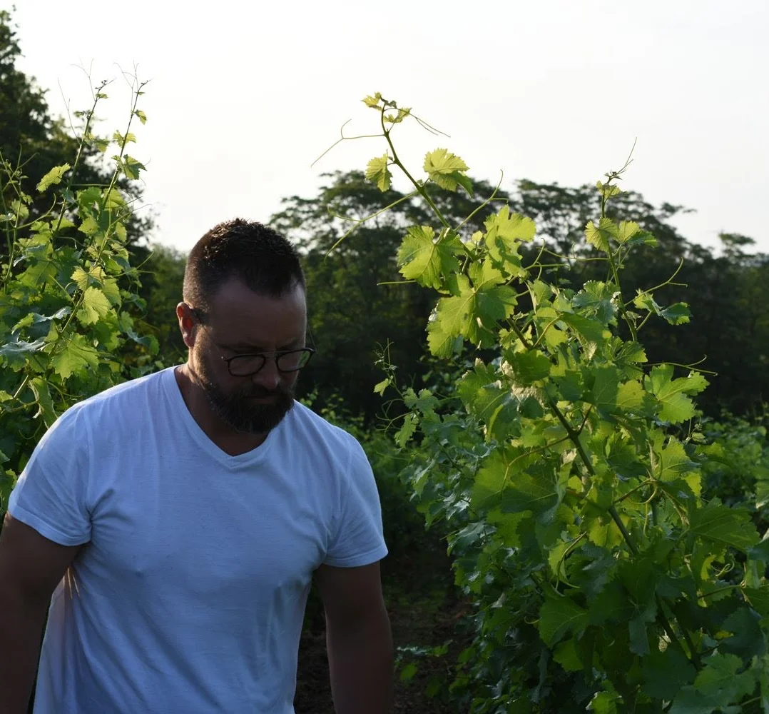 Guillaume Sorbe from the Les Poëte estate