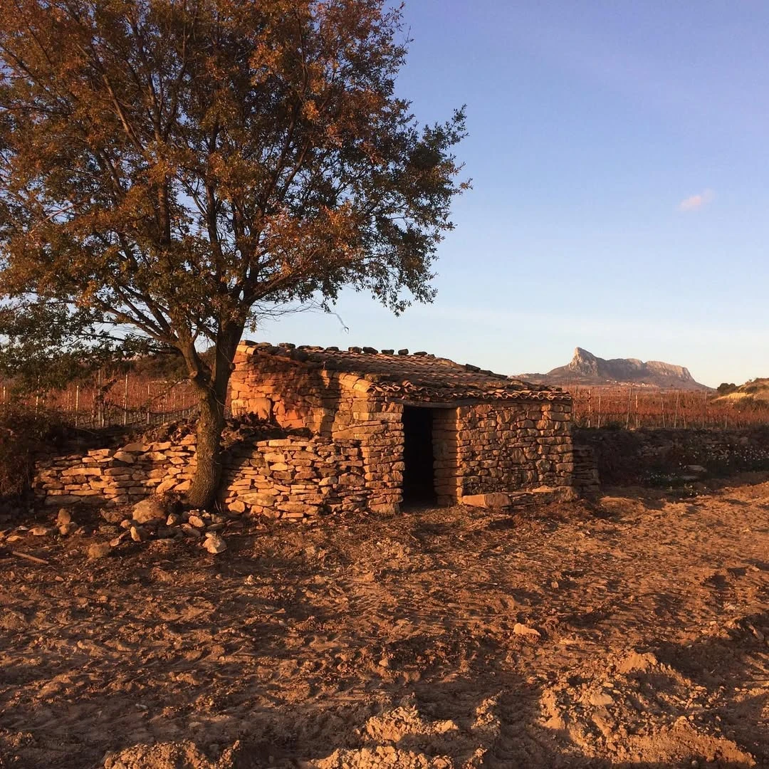ambiance de novembre à Tentenublo