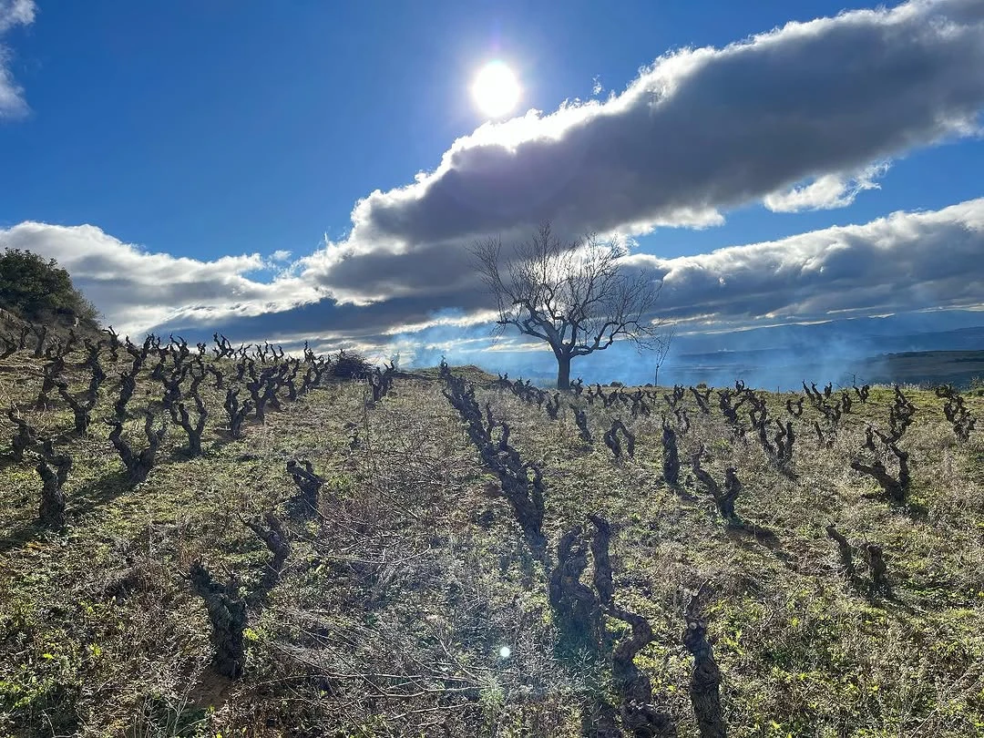 ciel d'hiver sur San José, Rioja Alavesa