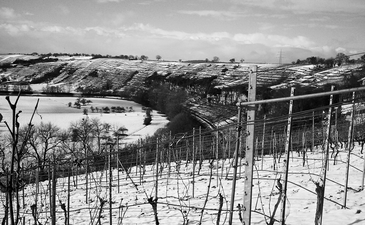Steillagen-Weinberge von Roterfaden