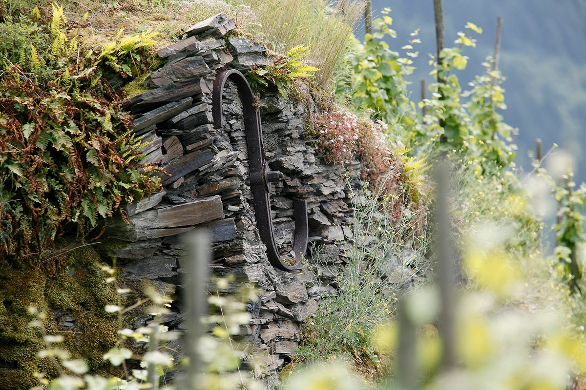 Historic dry-stone wall in the Trabener Gaispfad