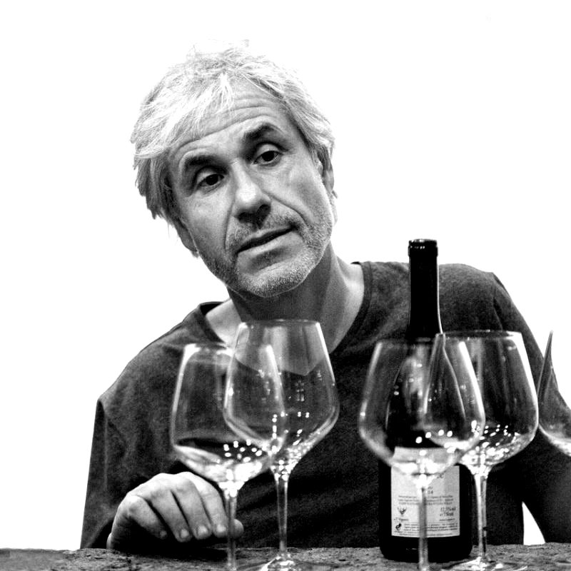 salvo foti