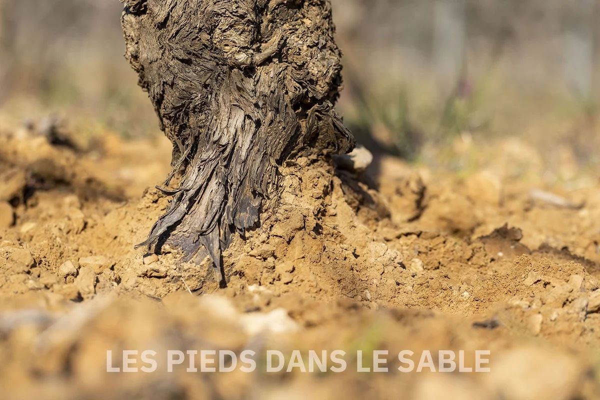 Provenzalische Landschaft um Domaine Alône
