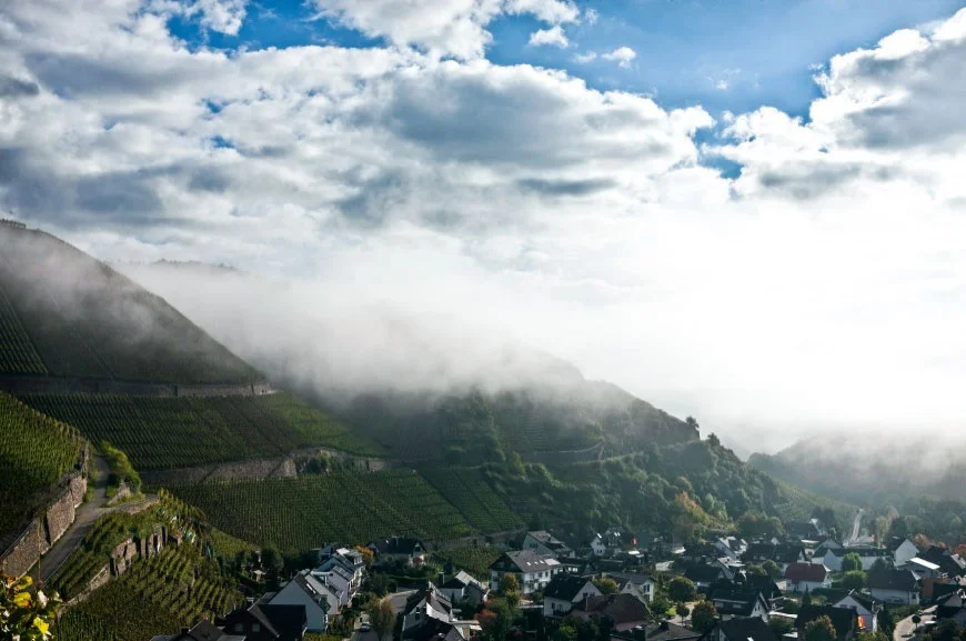 Weinberge im Ahrtal von Bertram-Baltes