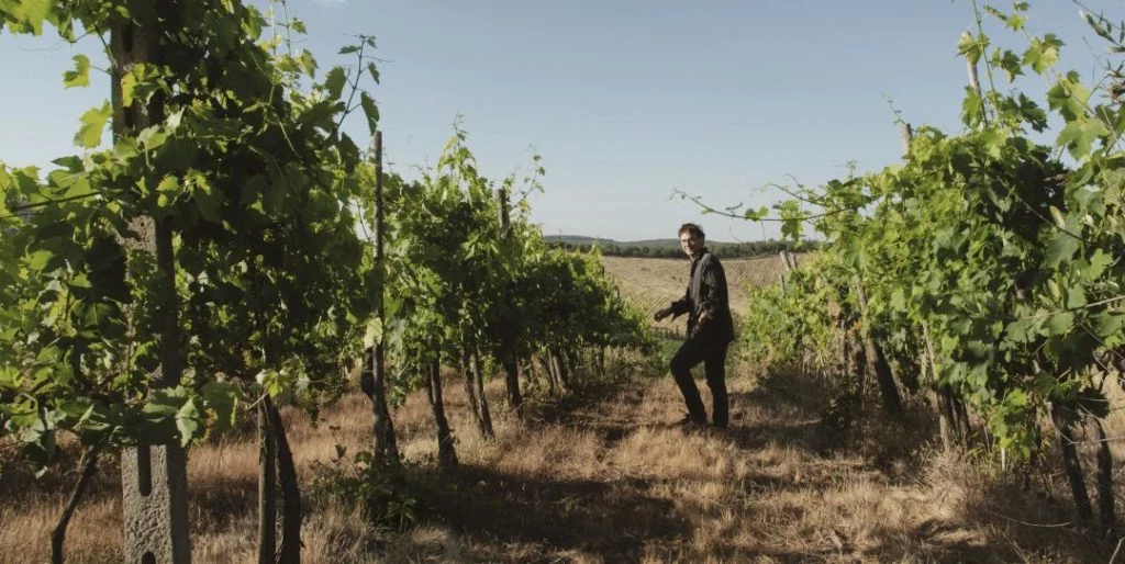 Weinberge der Tenuta di Carleone in Radda im Chianti Classico