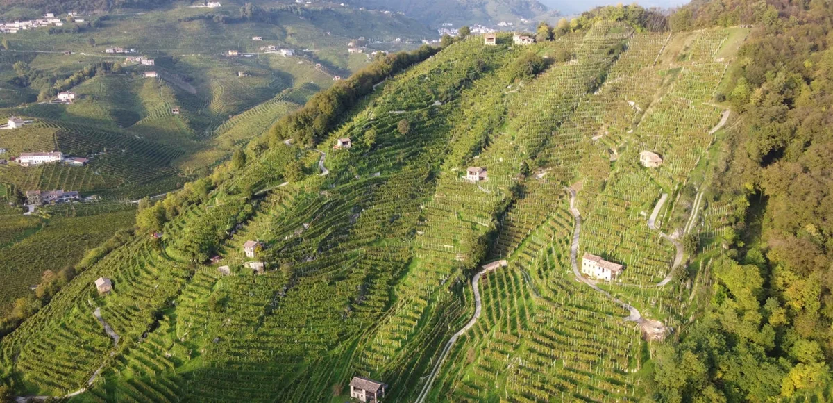 Steile Weinberge von Casa Coste Piane in Valdobbiadene - Viticoltura Eroica