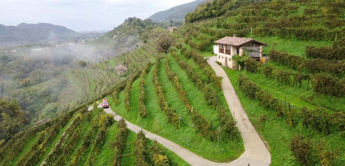 Weinberge Riva di Campea bei Casa Coste Piane in Valdobbiadene