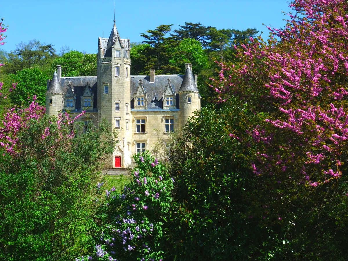 Das gotische Château de Coulaine in Chinon