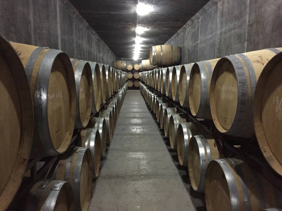 Fasskeller von El Sequé in Pinoso