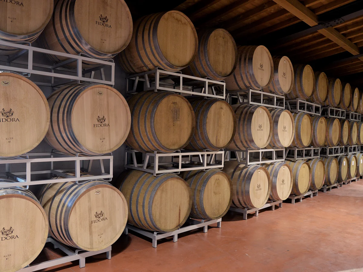 Weinberge des biodynamischen Weinguts Fidora im Veneto