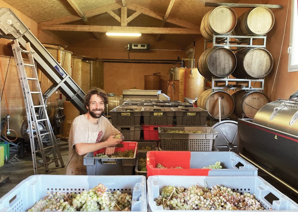 Weinkeller der Domaine Flo Busch