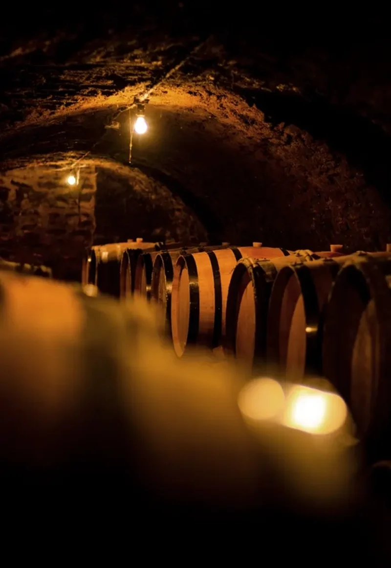 Historischer Gewölbekeller mit Eichenfässern bei Chandon de Briailles