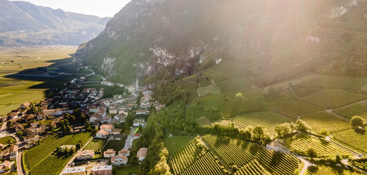 Aerial view of Margreid with vineyards
