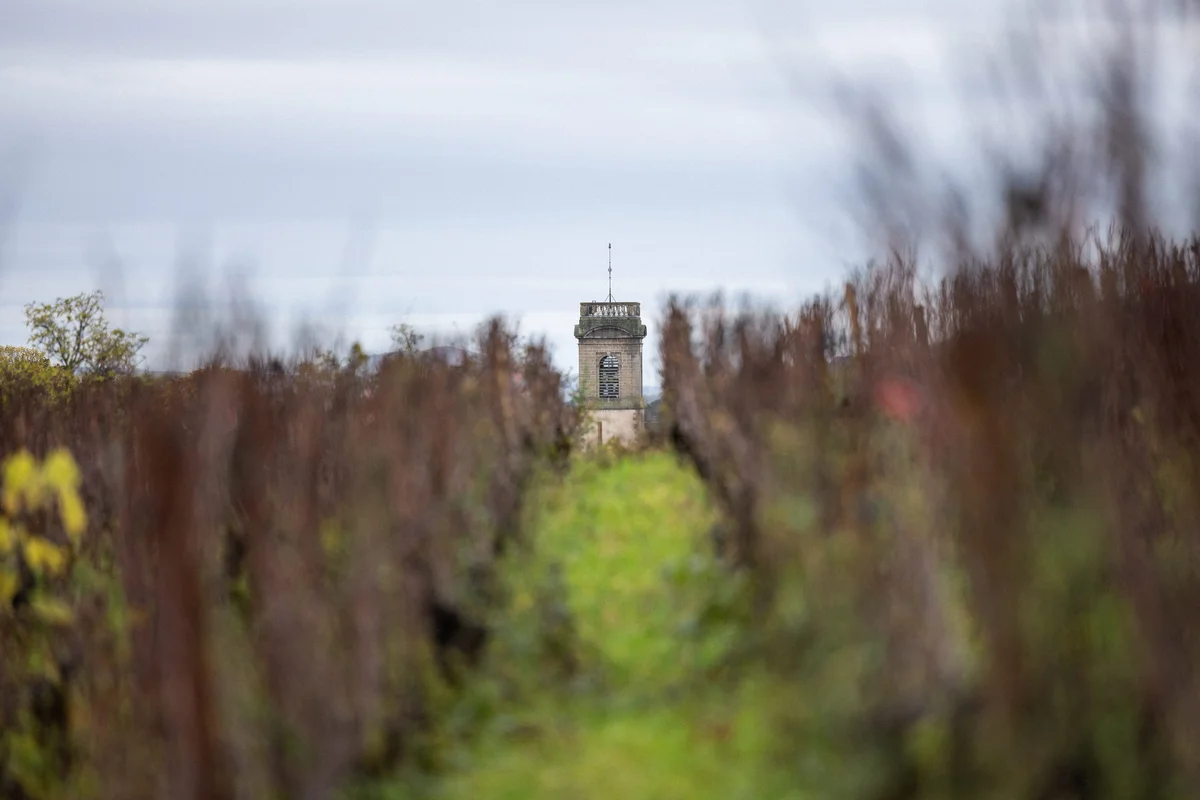 Weinberge der Domaine Lejeune mit Blick auf die Kirche von Pommard