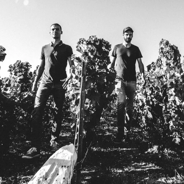 Pertois-Lebrun Weingut