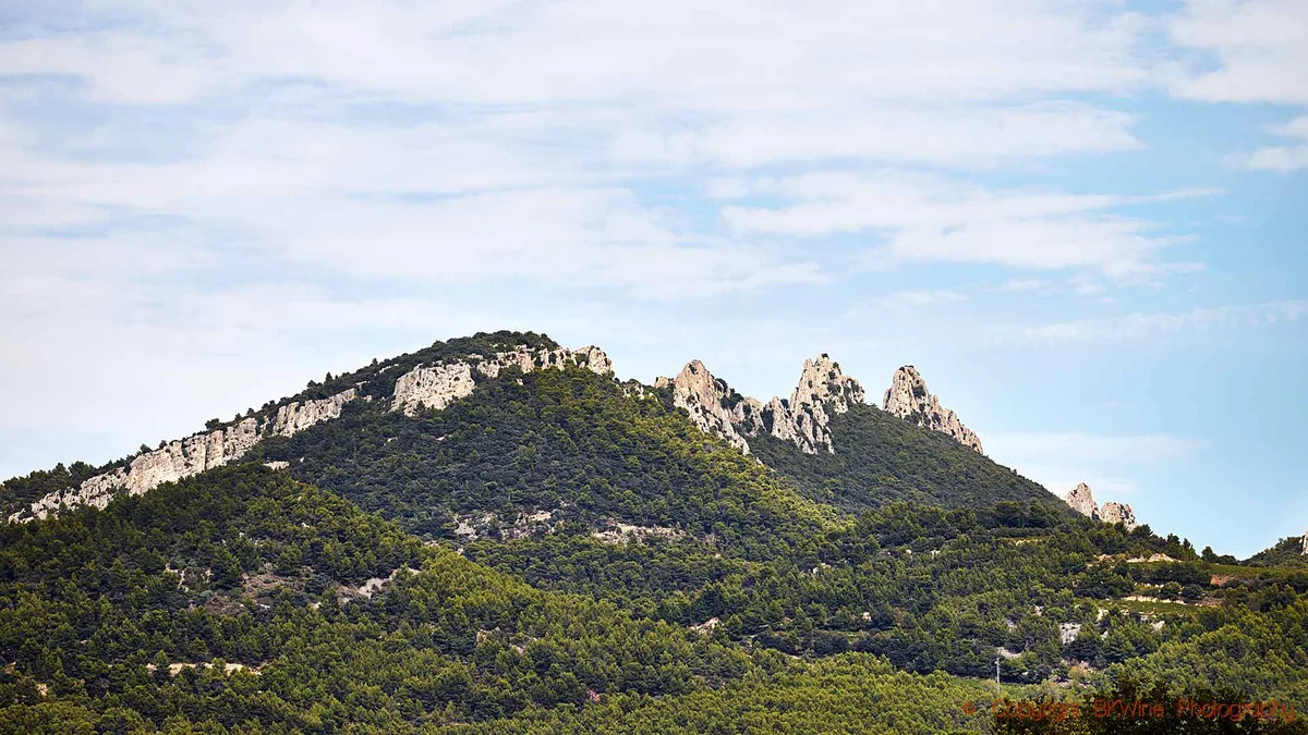 Die Dentelles de Montmirail in der südlichen Rhône