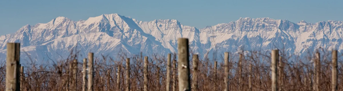 Weinberge von Scarbolo mit Alpen-Panorama im Winter
