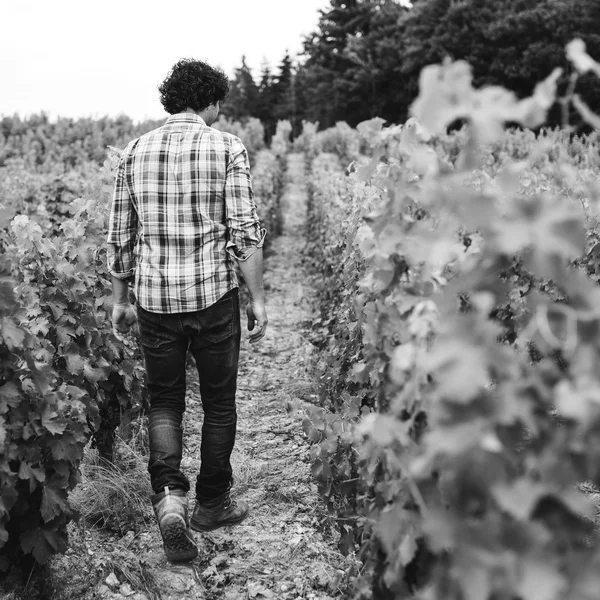 Stéphane Riffault - Domaine Claude Riffault