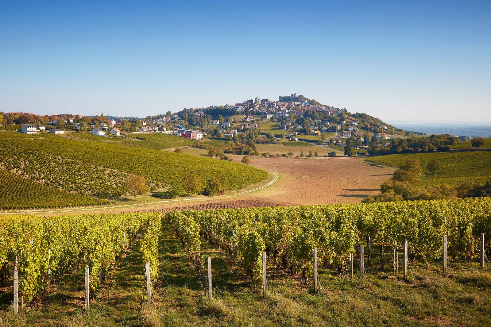 Domaine Vacheron Weinberge Sancerre