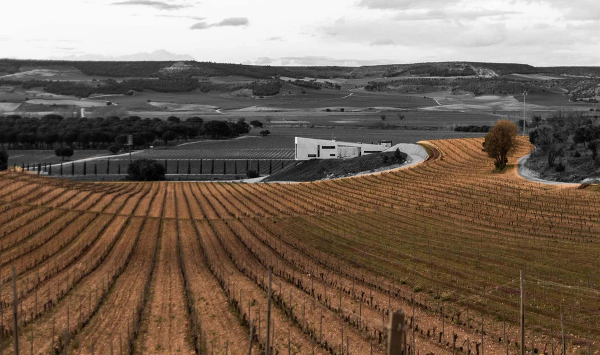 Weinberge und moderne Bodega von Valdemonjas in Ribera del Duero