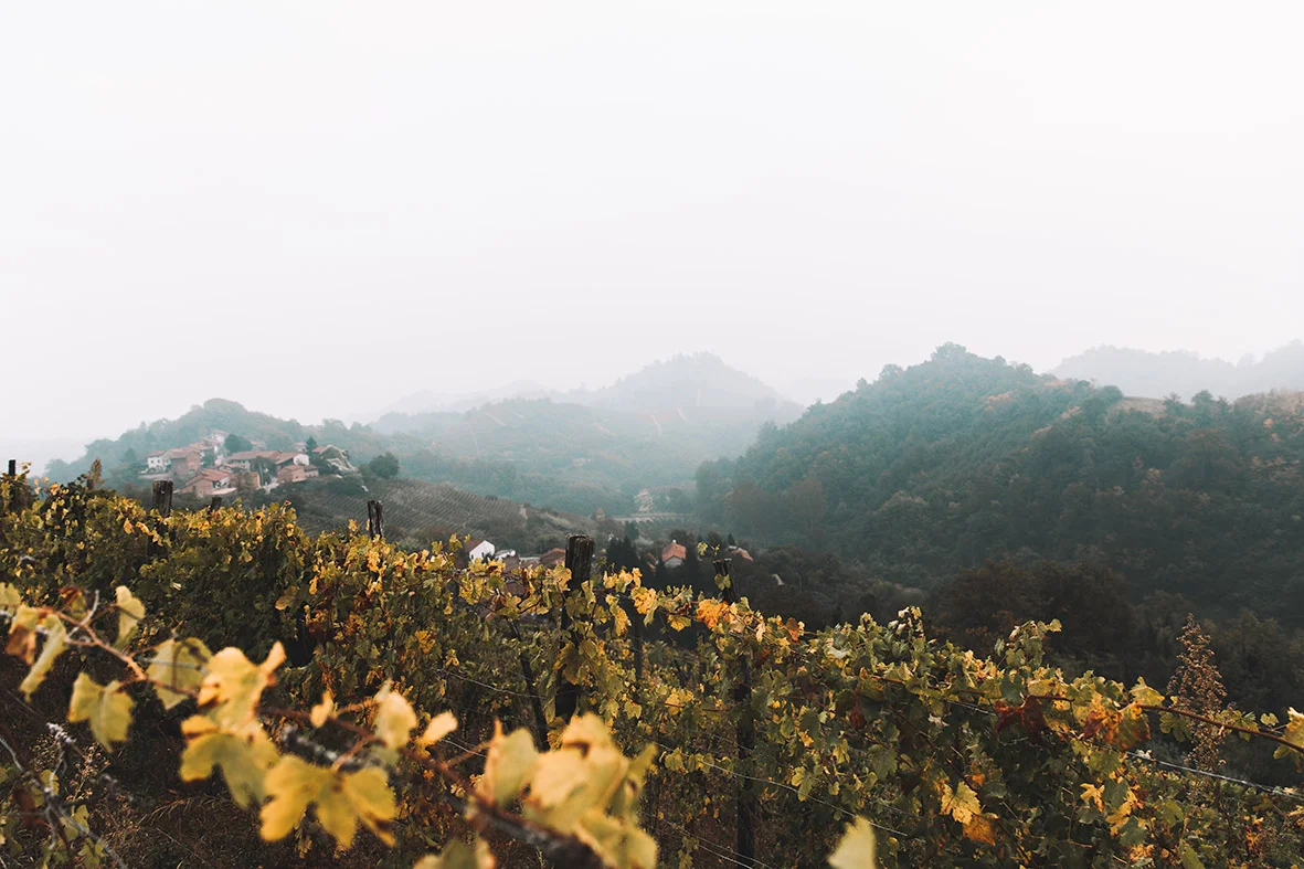 Les vignes escarpées du Valmaggiore