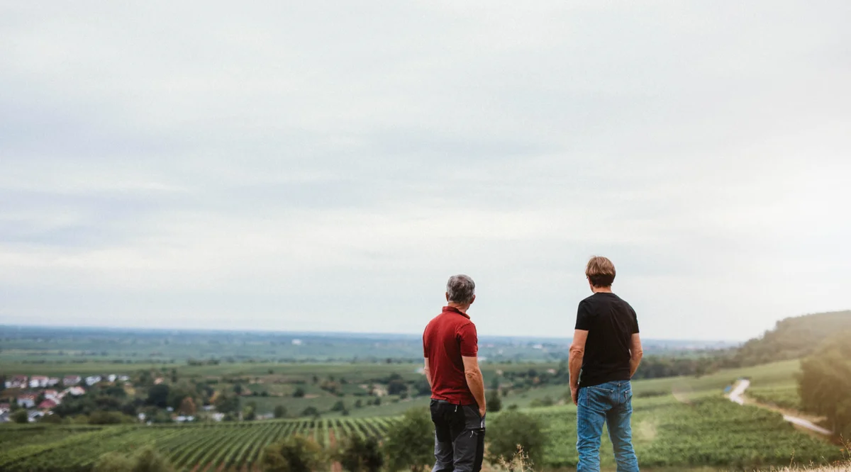 Weinberge von Sektgut Andres & Mugler in der Pfalz