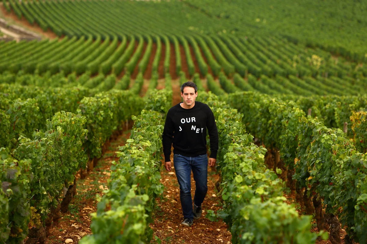 Weinberge von Domaine Chavy-Chouet in Meursault, Burgund