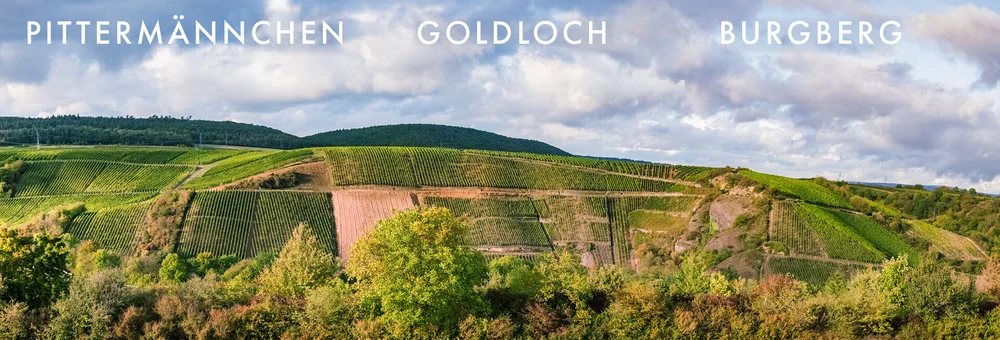 Weinberge des Schlossgut Diel an der Nahe