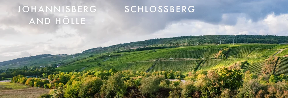Blick über die Weinberge von Burg Layen an der Nahe