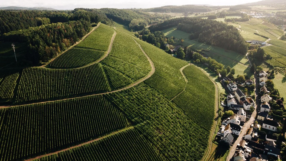 Karthäuserhofberg Monopollage Ruwer Luftaufnahme