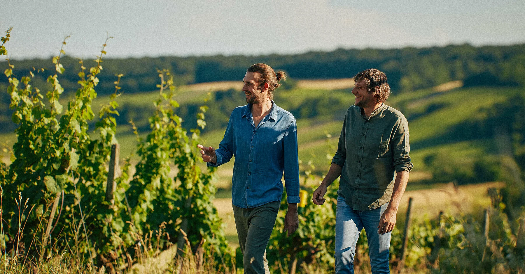 Vignoble du domaine Zehnthof Luckert à Sulzfeld