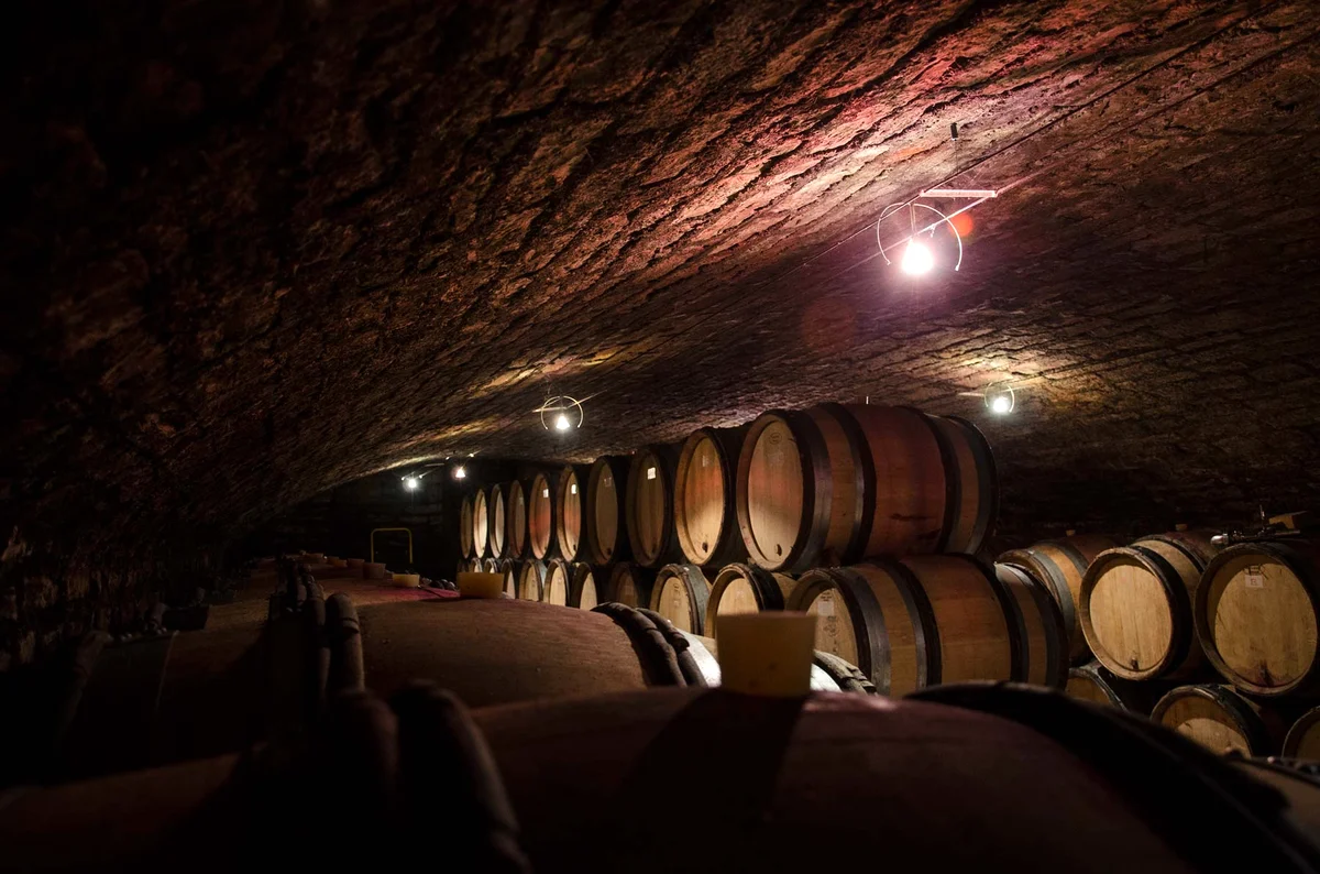 Der Gewölbekeller der Domaine Hubert Lignier in Morey-Saint-Denis