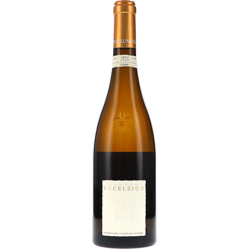 Excelsior AOP 2020 – Luneau-Papin