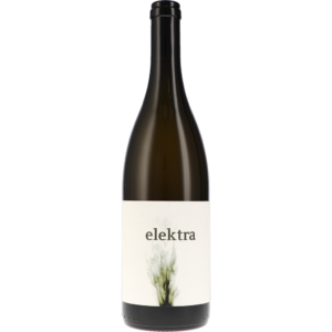 Grüner Veltliner Elektra 2022 – Nittnaus Anita & Hans