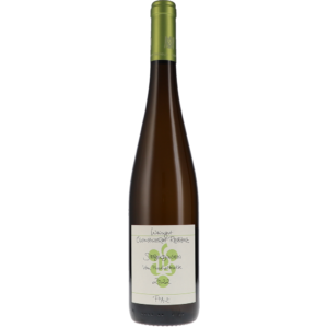 Siebeldingen Riesling vom Muschelkalk 2022