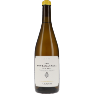Fontanasanta Nosiola Vigneti delle Dolomiti IGT 2025 1500ml Magnum – Foradori