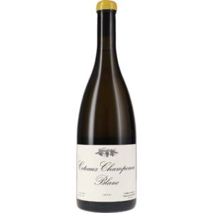 Coteaux Champenois Blanc "L'Enclume" Oeuilly 2021