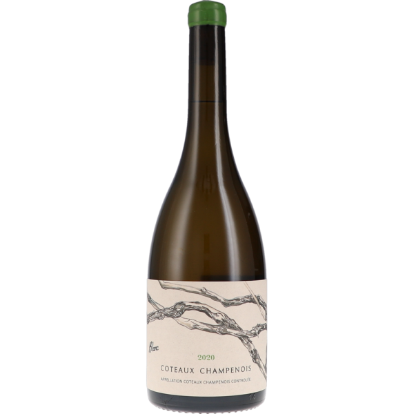 Coteaux Champenois Blanc AOC 2020