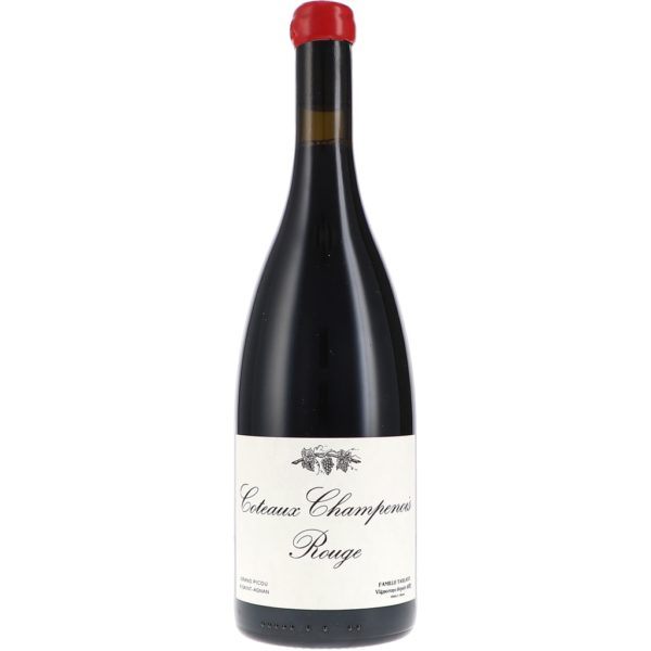 Coteaux Champenois Rouge, Grand Picou, Saint Agnan AOC 2019
