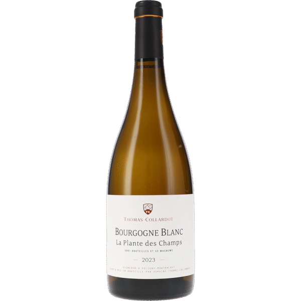 Bourgogne blanc "La Plante des Champs" AOC 2023