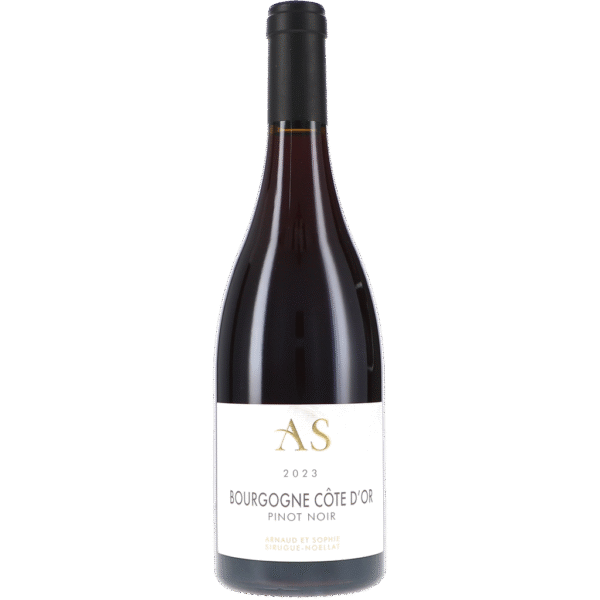 Bourgogne Côte d'Or Pinot Noir AOC 2023