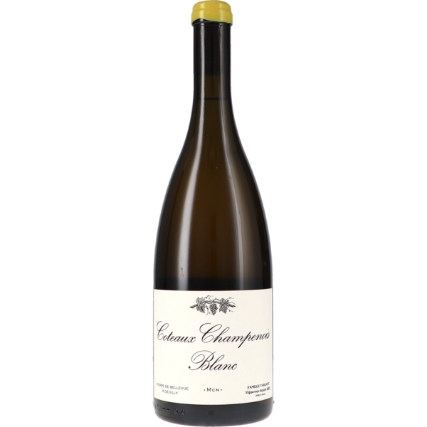 Coteaux Champenois Blanc "Pierre de Bellevue" Oeuilly 2021